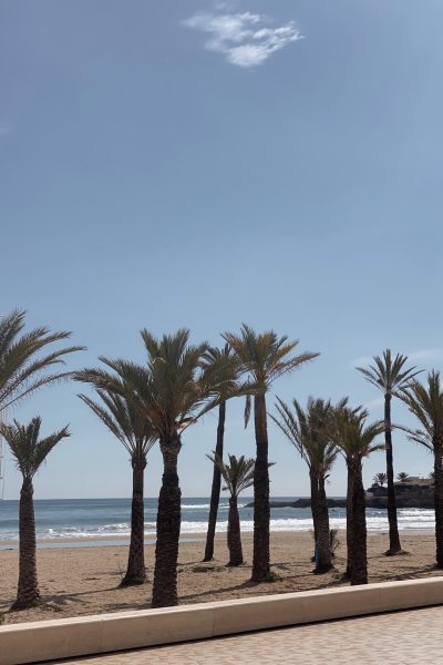 beach_3-scaled.jpg